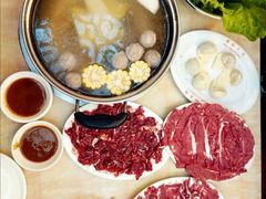 -陈记顺和潮汕牛肉火锅(韩江路店)