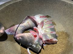 -鲜潭蒸汽石锅鱼(五道口购物中心店)