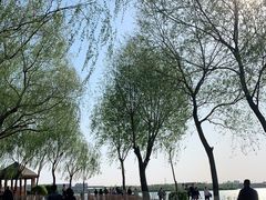 -丁香湖公园