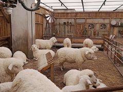 -OUR Bakery(SKP-S店)