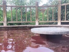 -徂徕山森林康养度假谷温泉