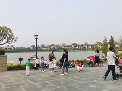 -美的鹭湖森林度假区