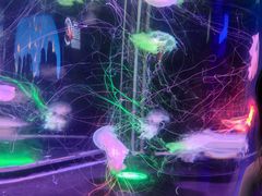 -太平洋海底世界