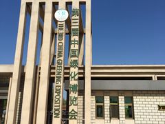 -武清南湖绿博园