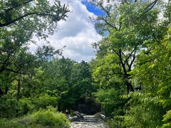 -阳台山自然风景区