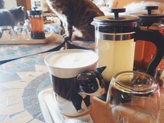 -猫猫幼稚园·撸猫·桌游·电玩