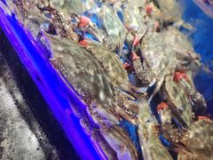 -鲜得莱渔港·小平岛海胆馆(七贤岭店)