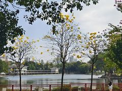 -荔湾湖公园
