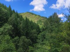 -苏木山森林公园