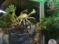 -無招牌海鮮(芽笼店)