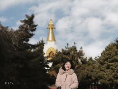 -护国法轮寺