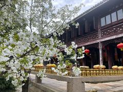 -无锡梅园公园