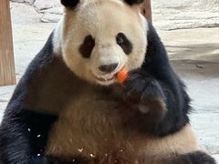 -杭州野生动物世界