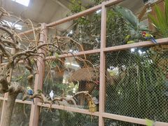 -南宫五洲植物乐园