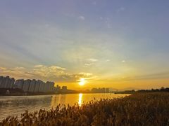 -江心屿景区