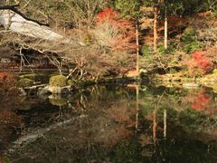 -醍醐寺