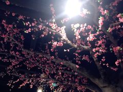 -沐熙汤泉(新安里店)