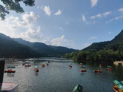 -黔灵山公园