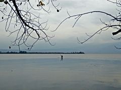 android_upload_pic-西昌邛海湿地