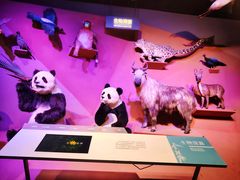 -中国天府农业博览园