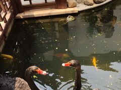 -湖鲜楼