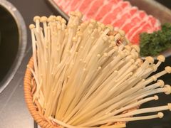-季季山·云南野生菌火锅(上海首店)
