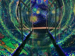 -梵高星空艺术馆(北京旗舰店)