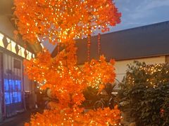 -后湖小院·乡野田园菜