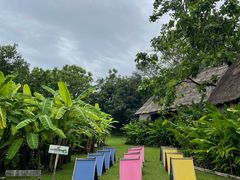 -大象粑粑造纸公园