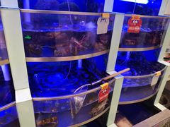 水产区-七欣天(浦东羽山乐坊店)