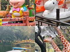 -晓港公园
