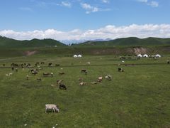 -新疆那拉提国家旅游度假区
