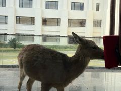 -惠州金海湾嘉华度假酒店