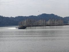 -东湖落雁景区
