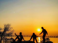 -宝安西湾红树林湿地公园