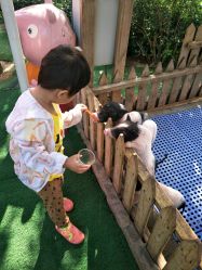 -萌宠亲子动物乐园(槐房万达店)