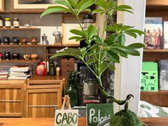 -CABO Coffee