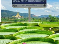 -西双版纳傣族园