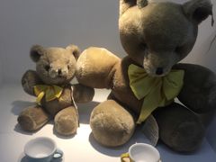 -成都泰迪熊博物馆