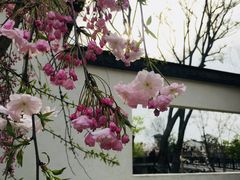 -湘湖金融镇