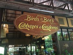 -卷心菜和避孕套餐厅(Pattaya)