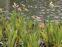 -浙江万里学院(钱湖校区)