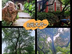 -广州兰圃