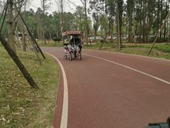 -白鹭湾湿地公园