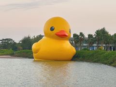 -深圳人才公园
