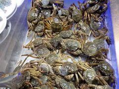 -诱货海鲜自助火锅(爱琴海购物公园东百店)