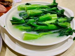 鱼汤菜心-德记潮州菜馆(卑路乍街)