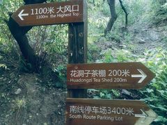 -阳台山自然风景区