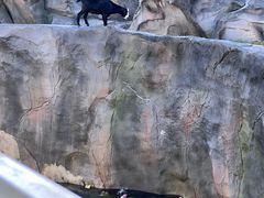 -武汉动物园