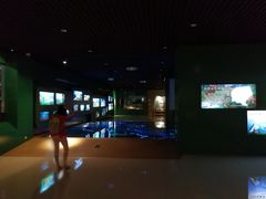 -甘肃地质博物馆